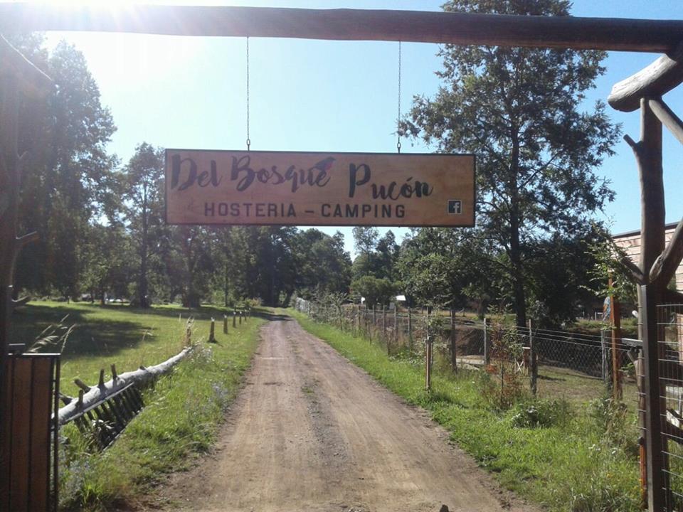 Hosteria Y Camping Del Bosque Pucon Ngoại thất bức ảnh