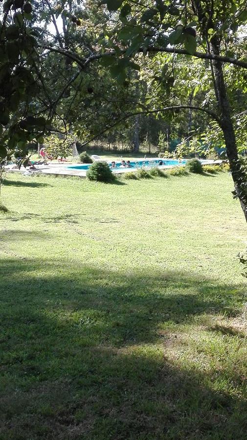 Hosteria Y Camping Del Bosque Pucon Ngoại thất bức ảnh