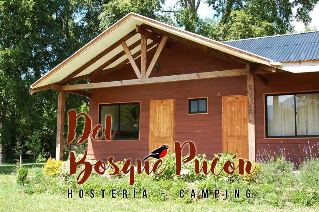 Hosteria Y Camping Del Bosque Pucon Ngoại thất bức ảnh