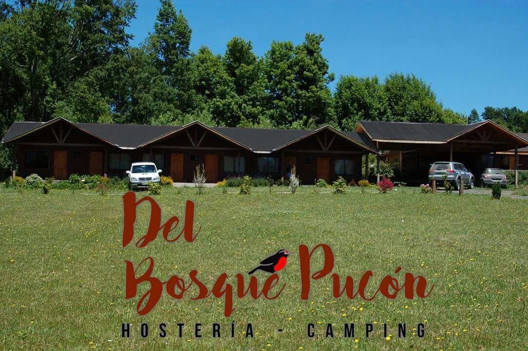 Hosteria Y Camping Del Bosque Pucon Ngoại thất bức ảnh