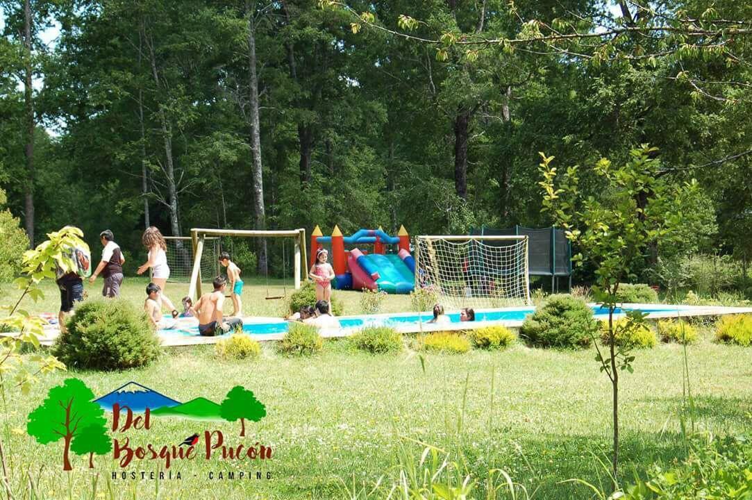 Hosteria Y Camping Del Bosque Pucon Ngoại thất bức ảnh