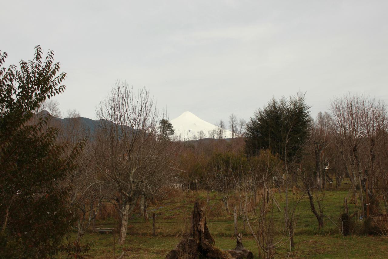 Hosteria Y Camping Del Bosque Pucon Ngoại thất bức ảnh